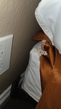 Stained mattress box cover, there are some small blood stains on the sides and back showing bedbugs had been there, didn't see any alive or current though