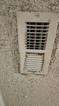 Dirty moldy ceiling vent