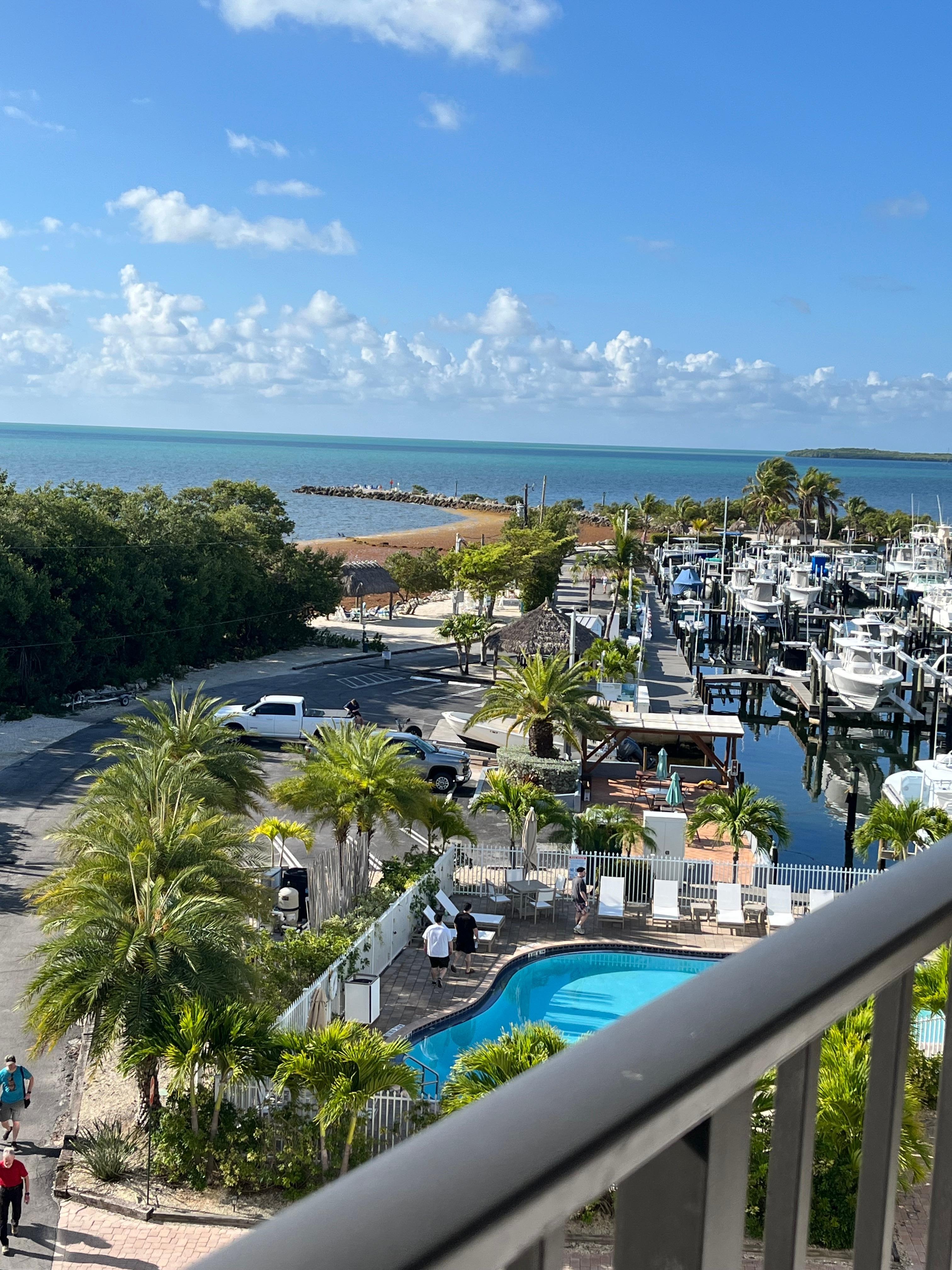 Loved this view every morning!  