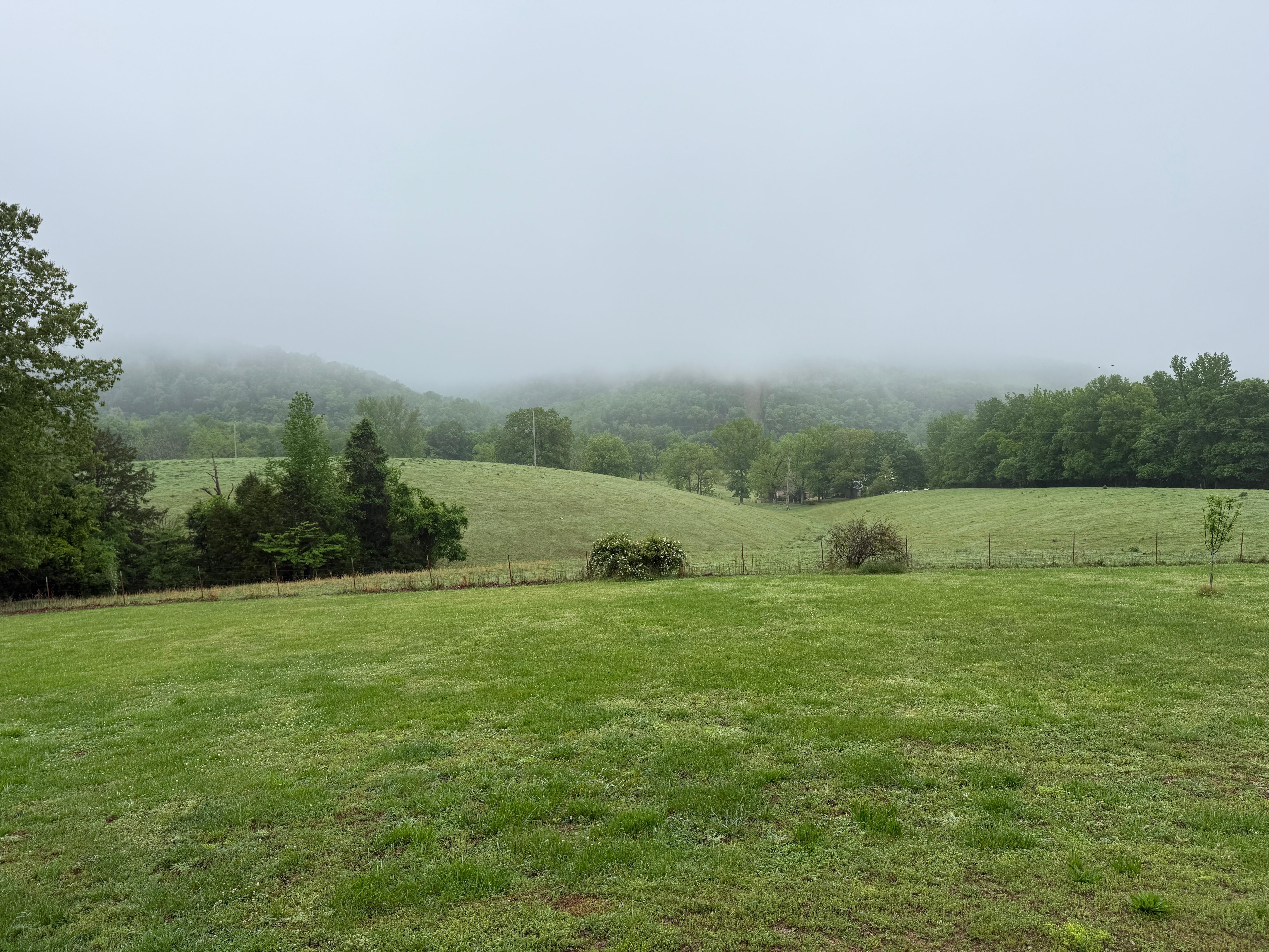 Morning fog over the mountains 
