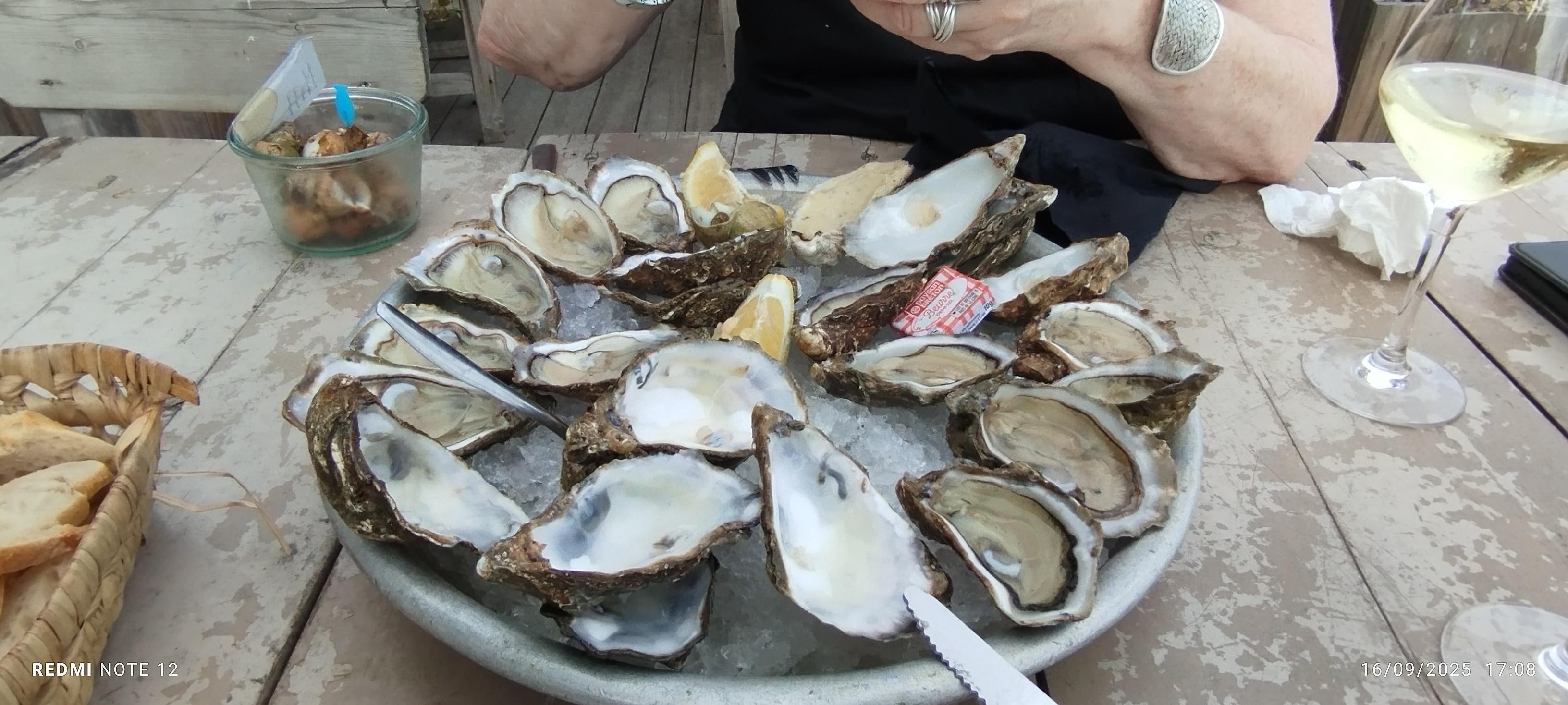 Quelques huîtres du banc d'Arguin à L'herbe 