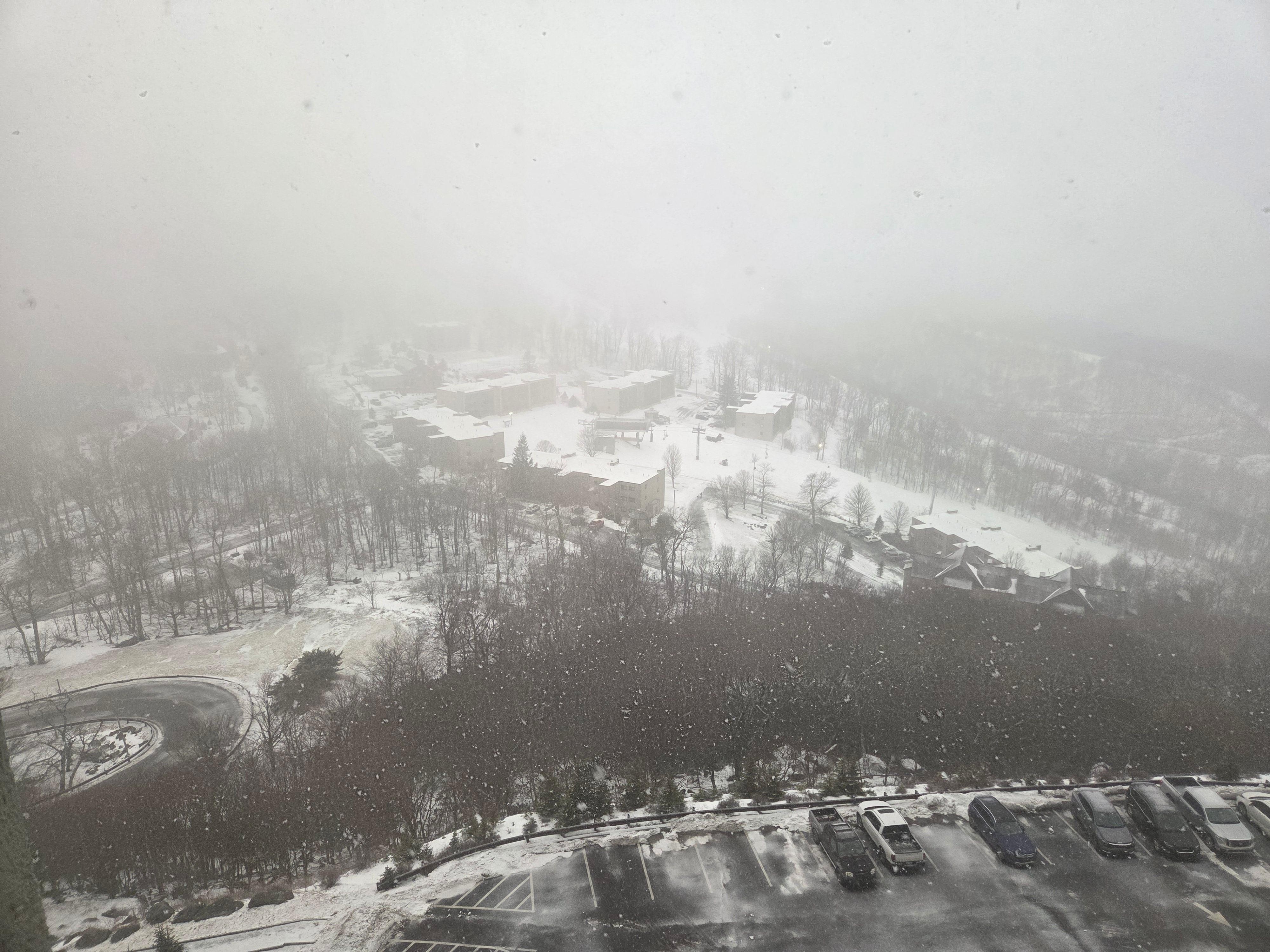 Another view on a foggy morning off the balcony