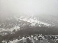 Another view on a foggy morning off the balcony