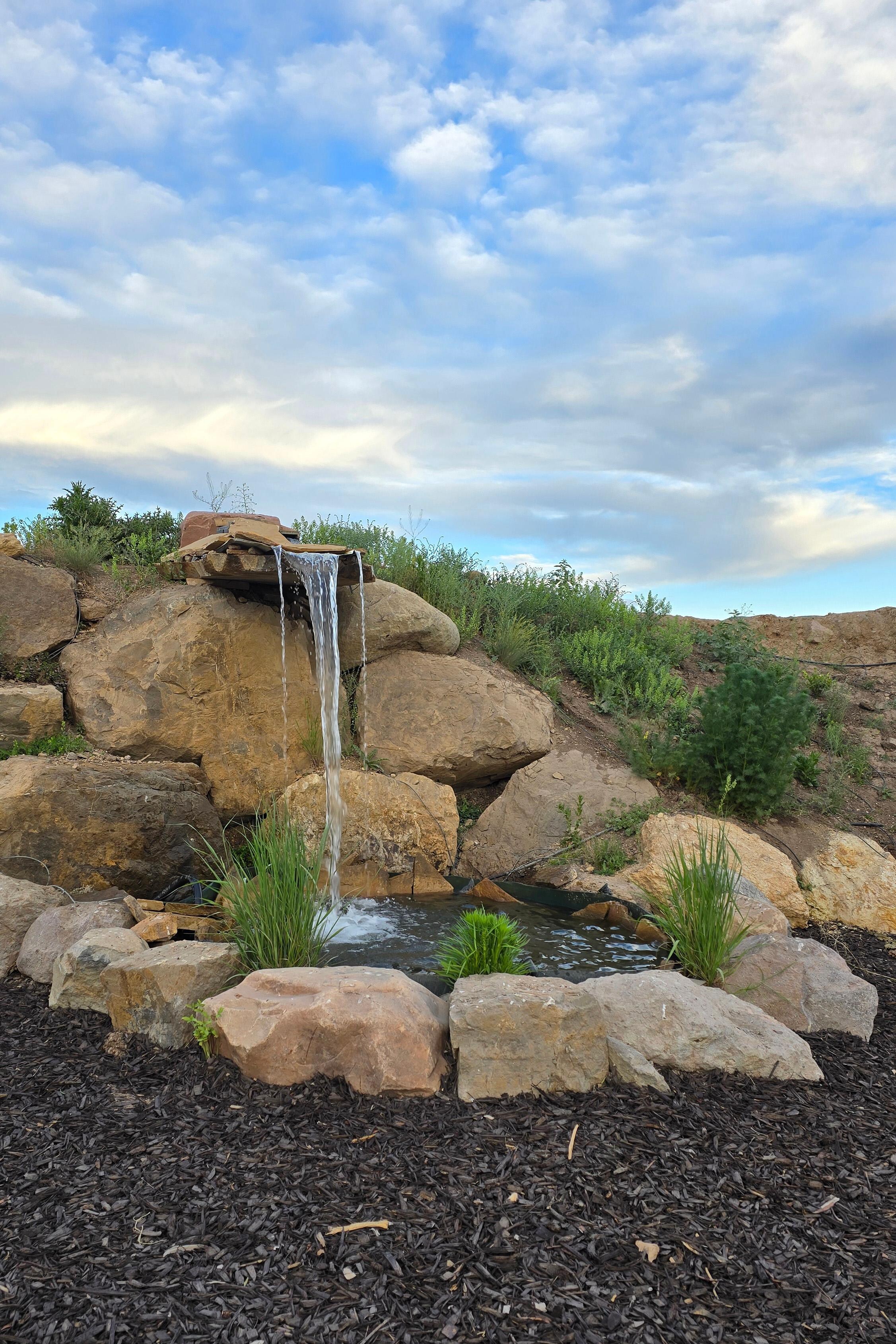 waterfall in the backyard area