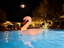 Warm pool!