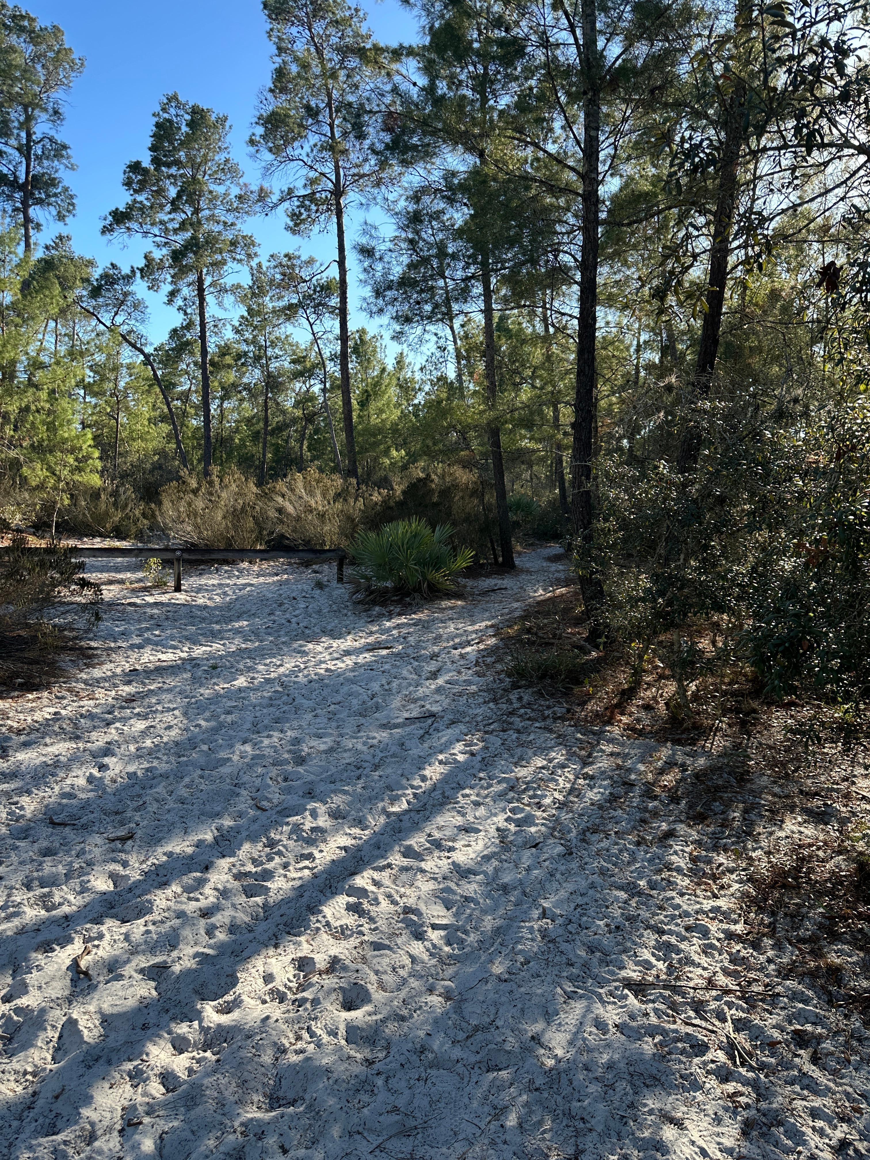 Spice Bluff Preserve