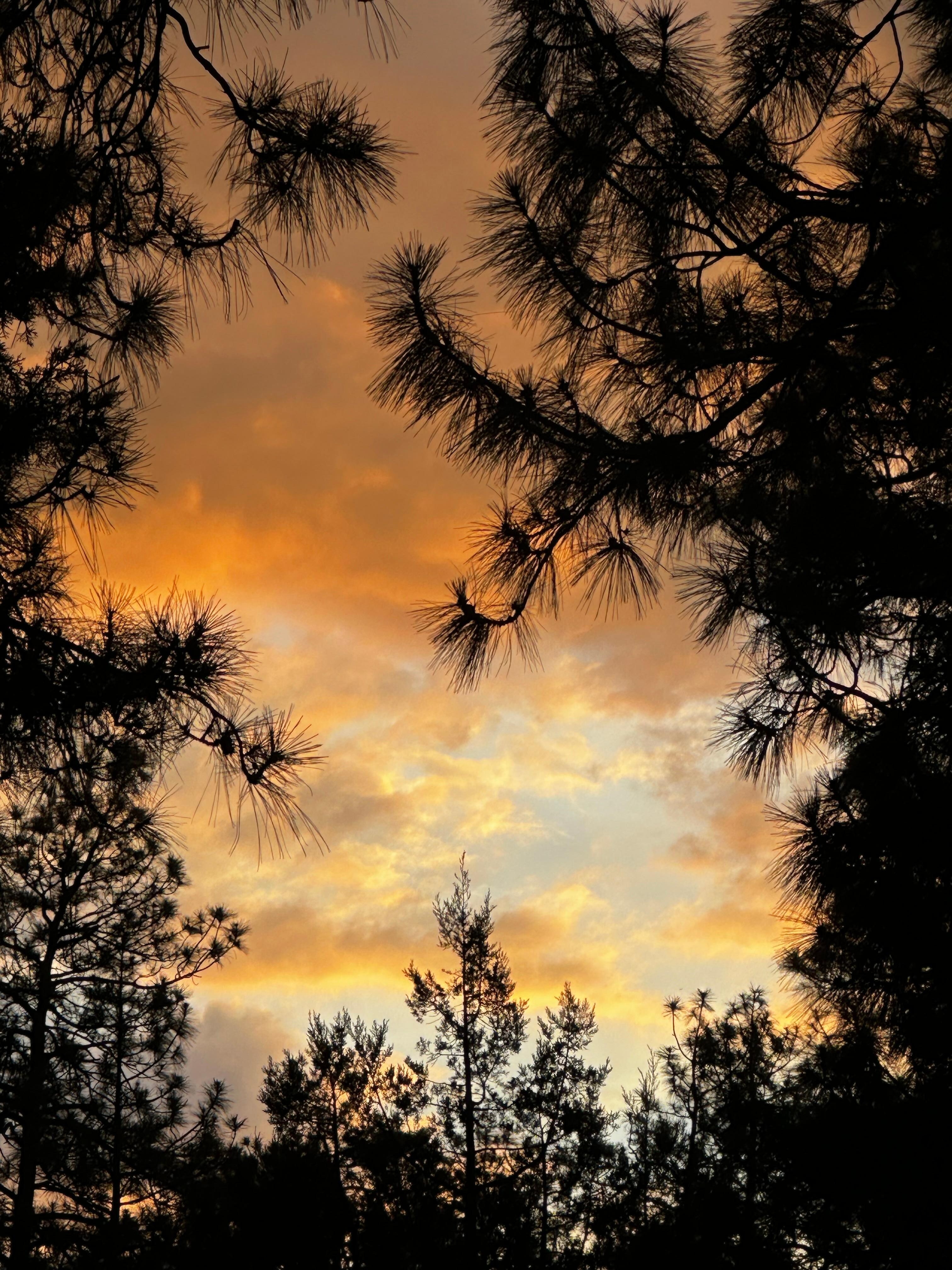 Sunset after the rain. 