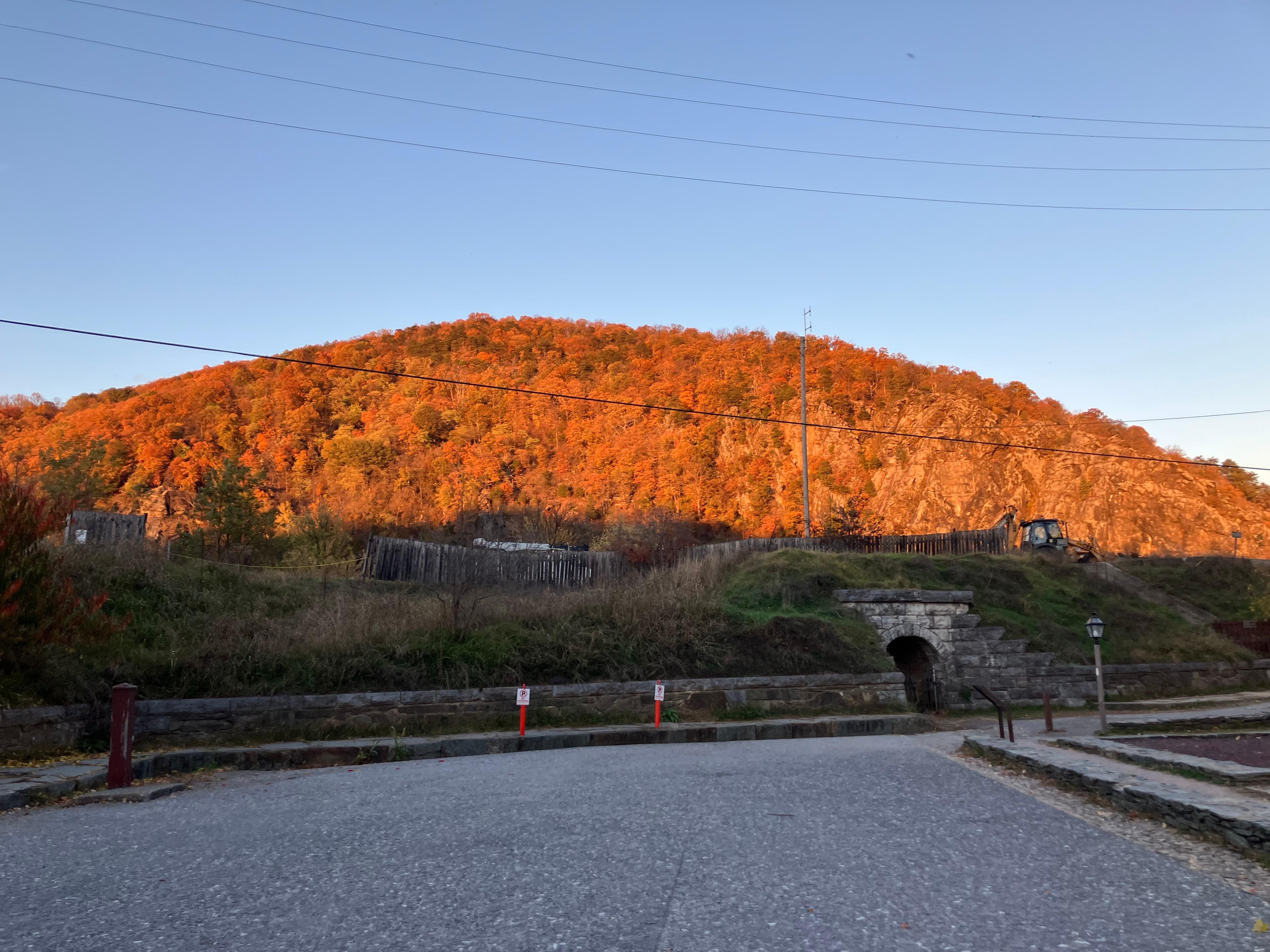 The fall colors were beautiful in the sunlight 