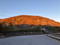 The fall colors were beautiful in the sunlight