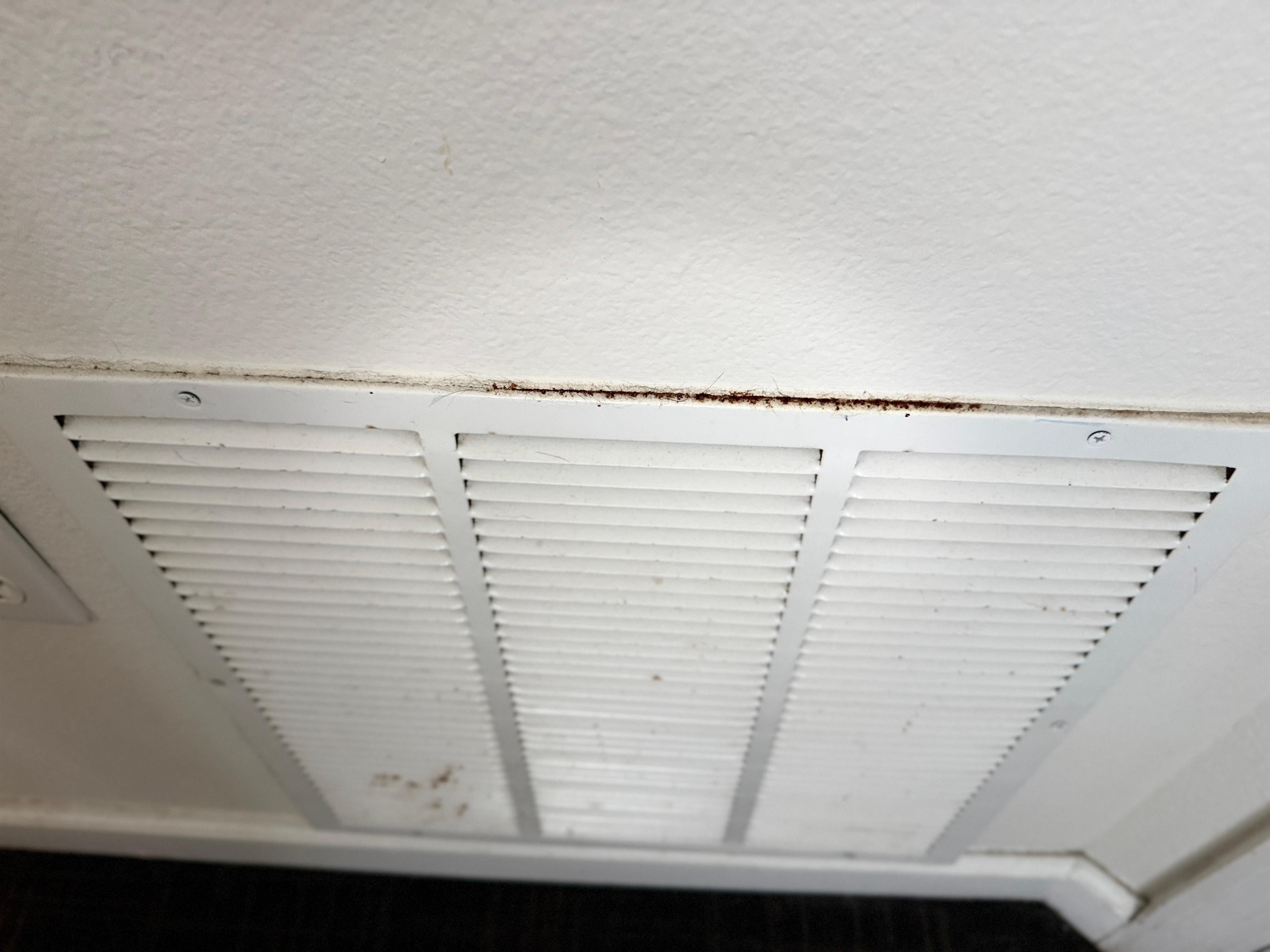 Paint ut vents to at least try to hide your dirt!