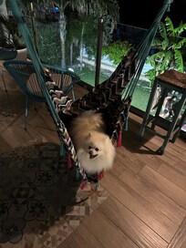 Auch der Kleine hatte SpaĂ