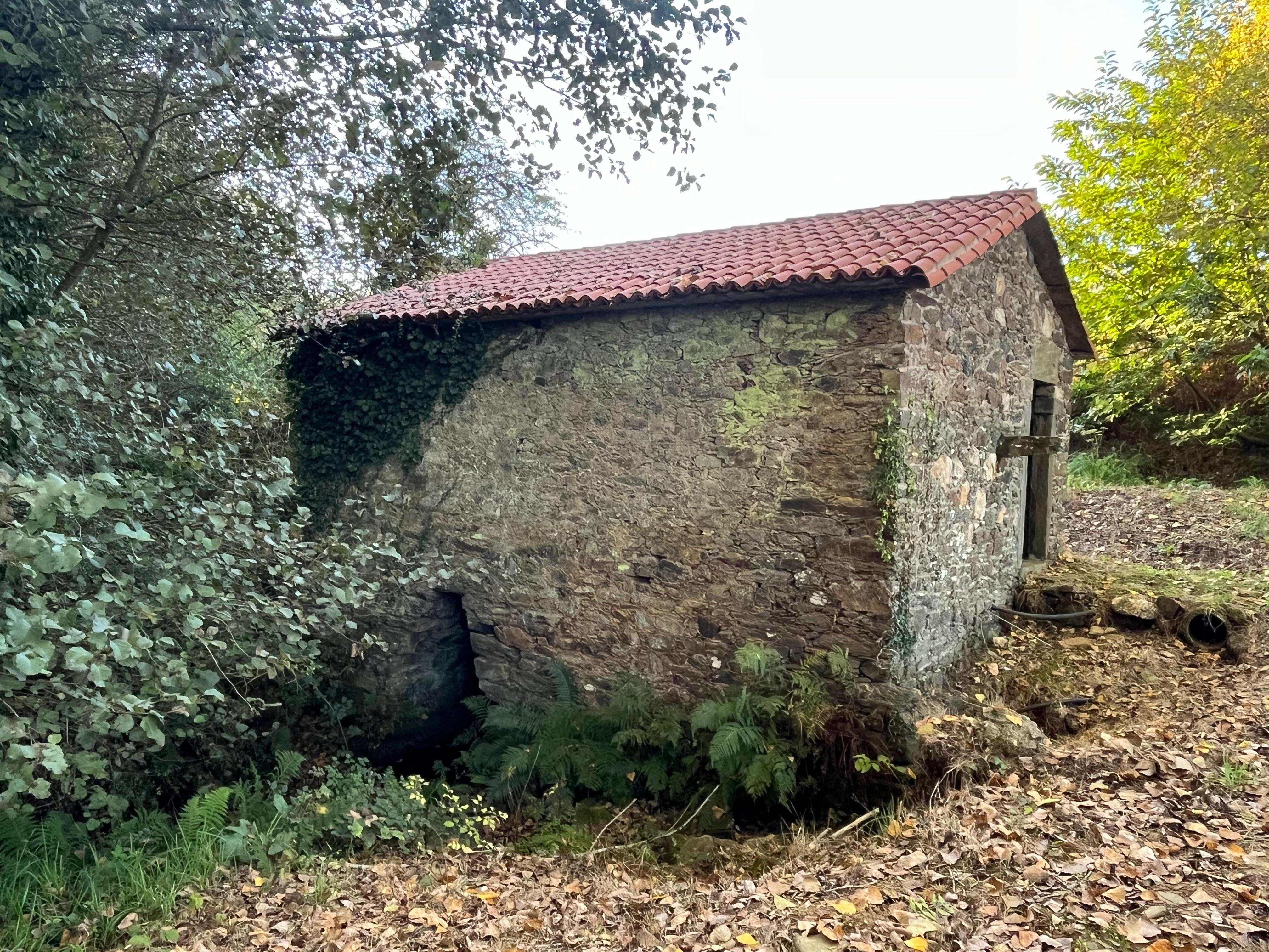 
Molino antiguo muy cerca