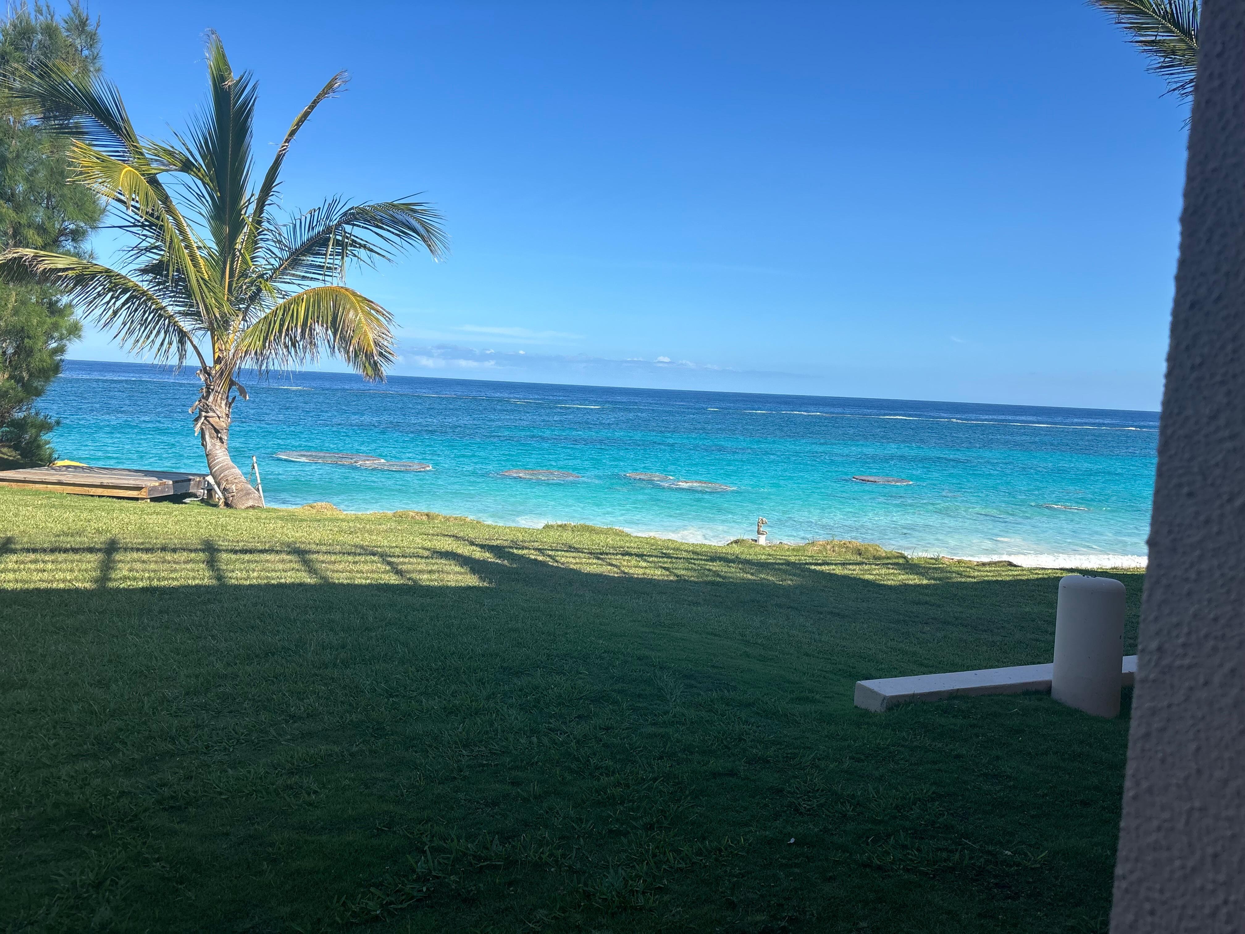 View outside my room