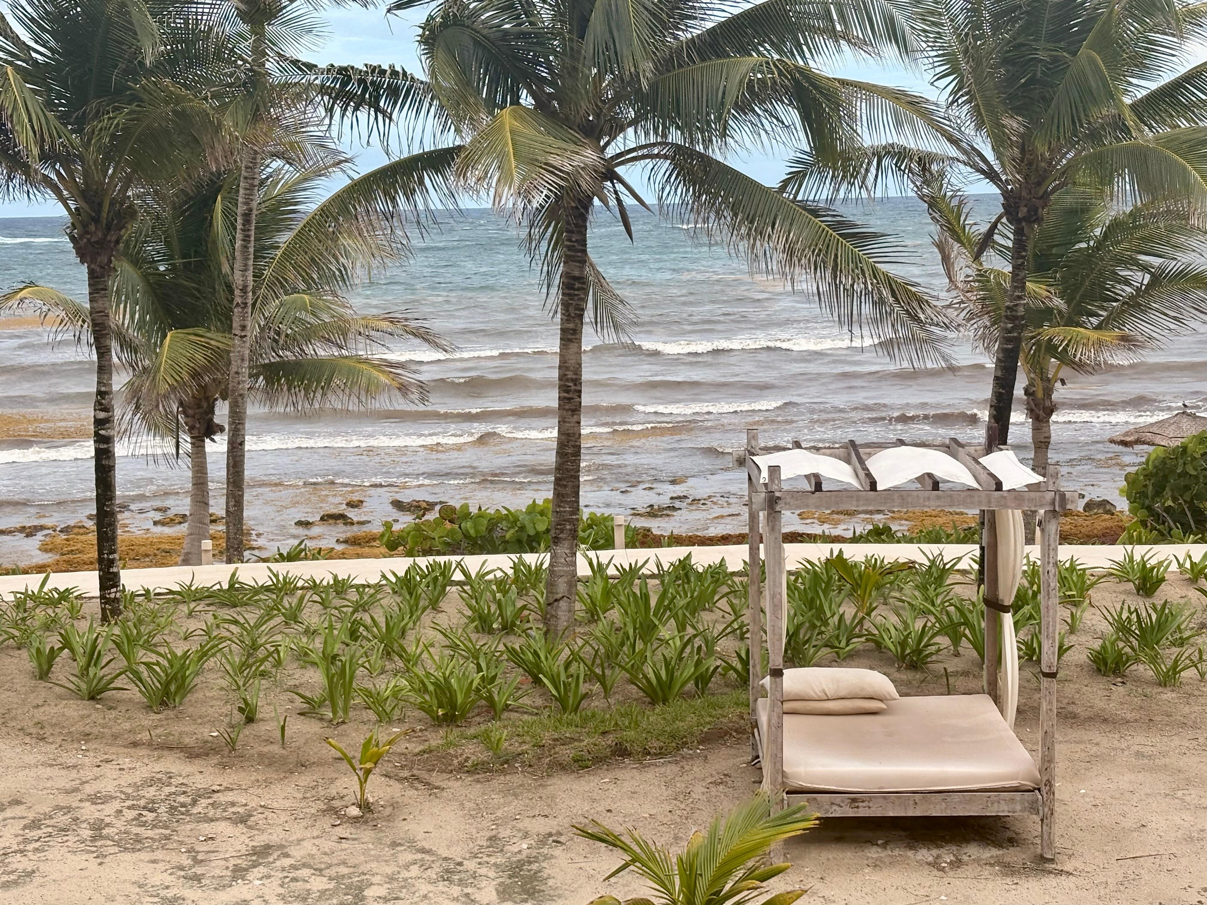 View from my room