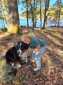 Sparkling lake in the background
