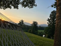 View from the hammock