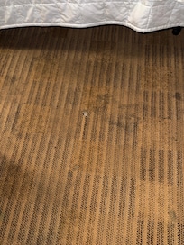 Stained carpet