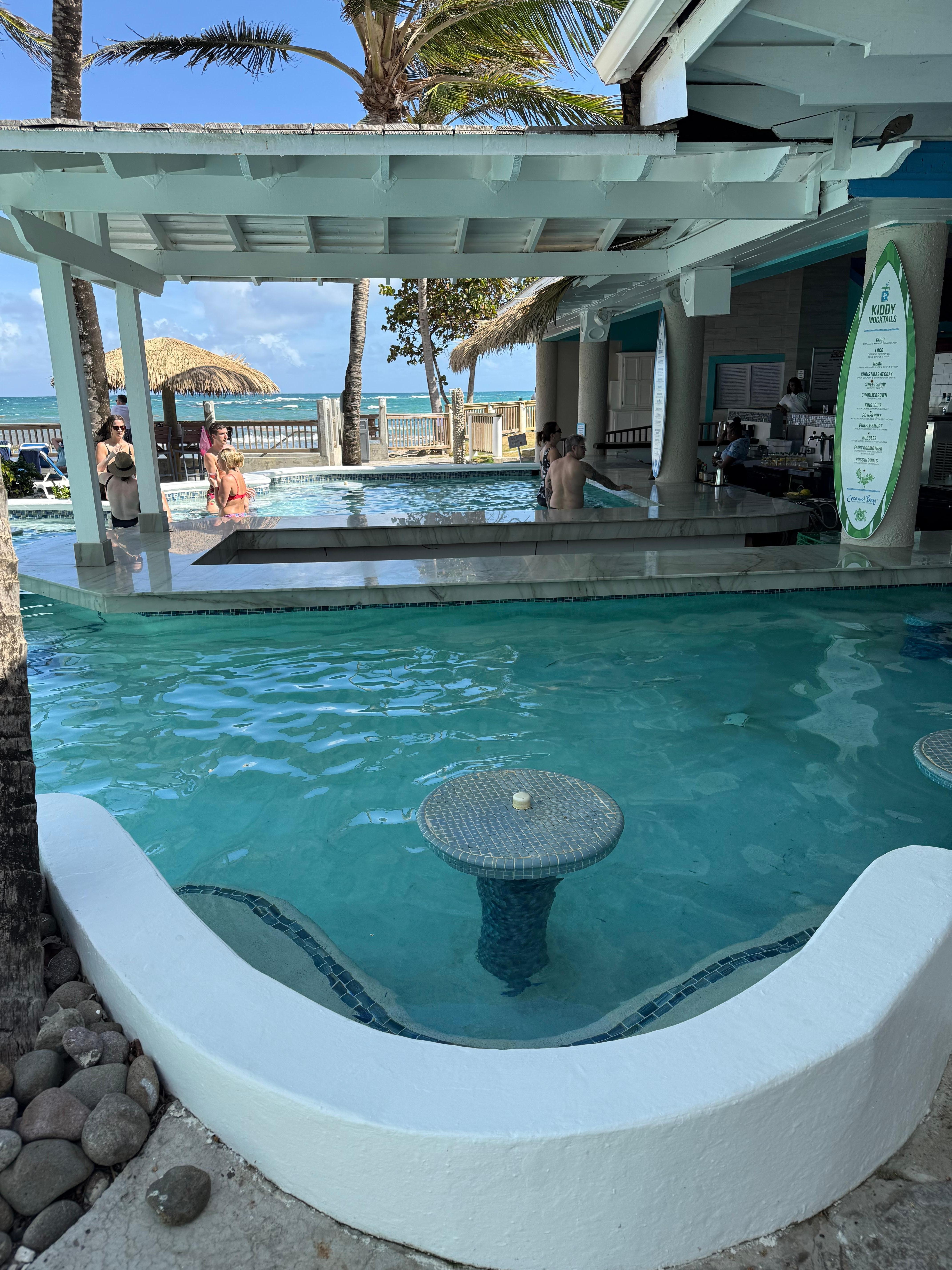 Swim-up bar