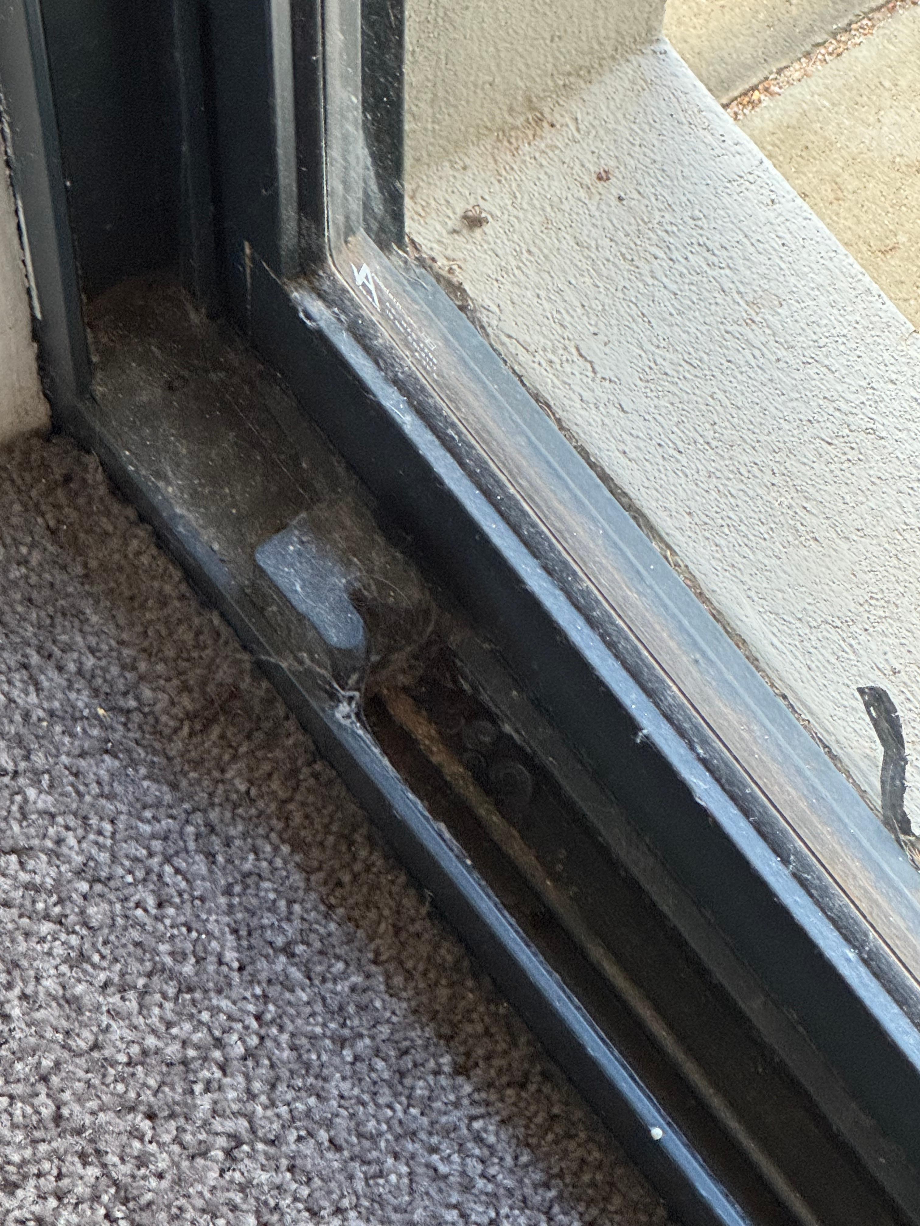 doortracks in the rooms (filthy)