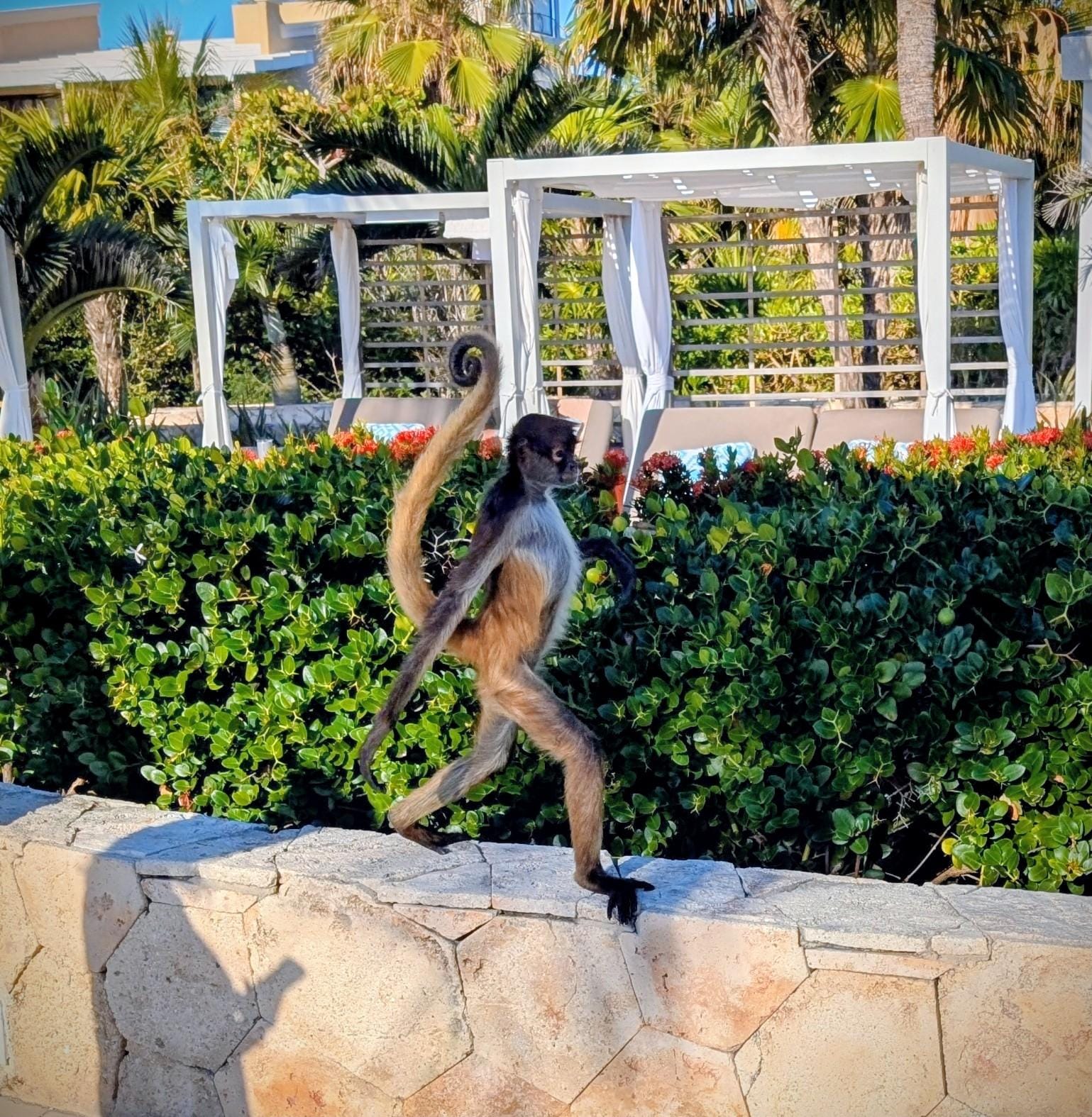 A visitor to the pool area