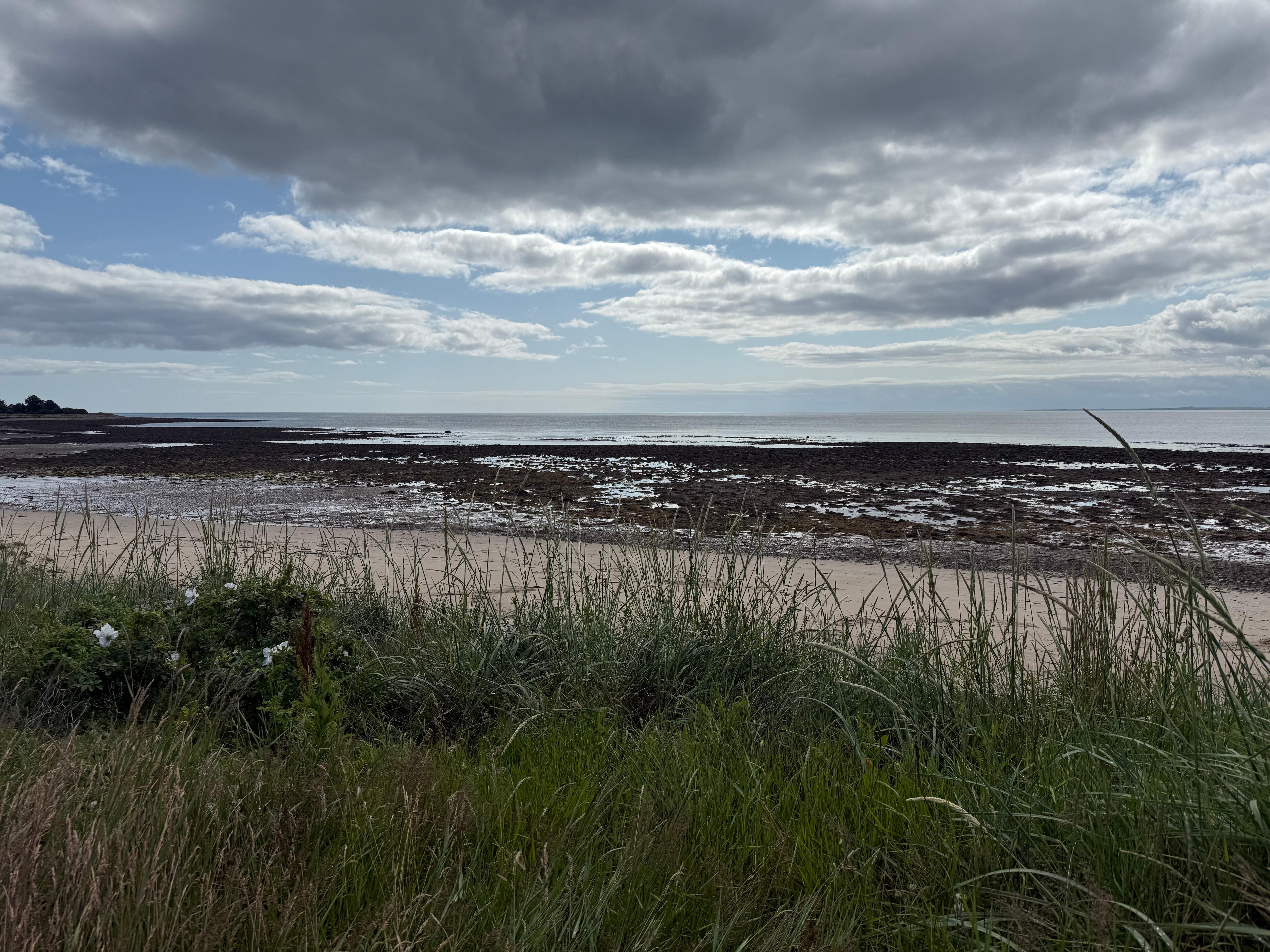 Golspie Beach