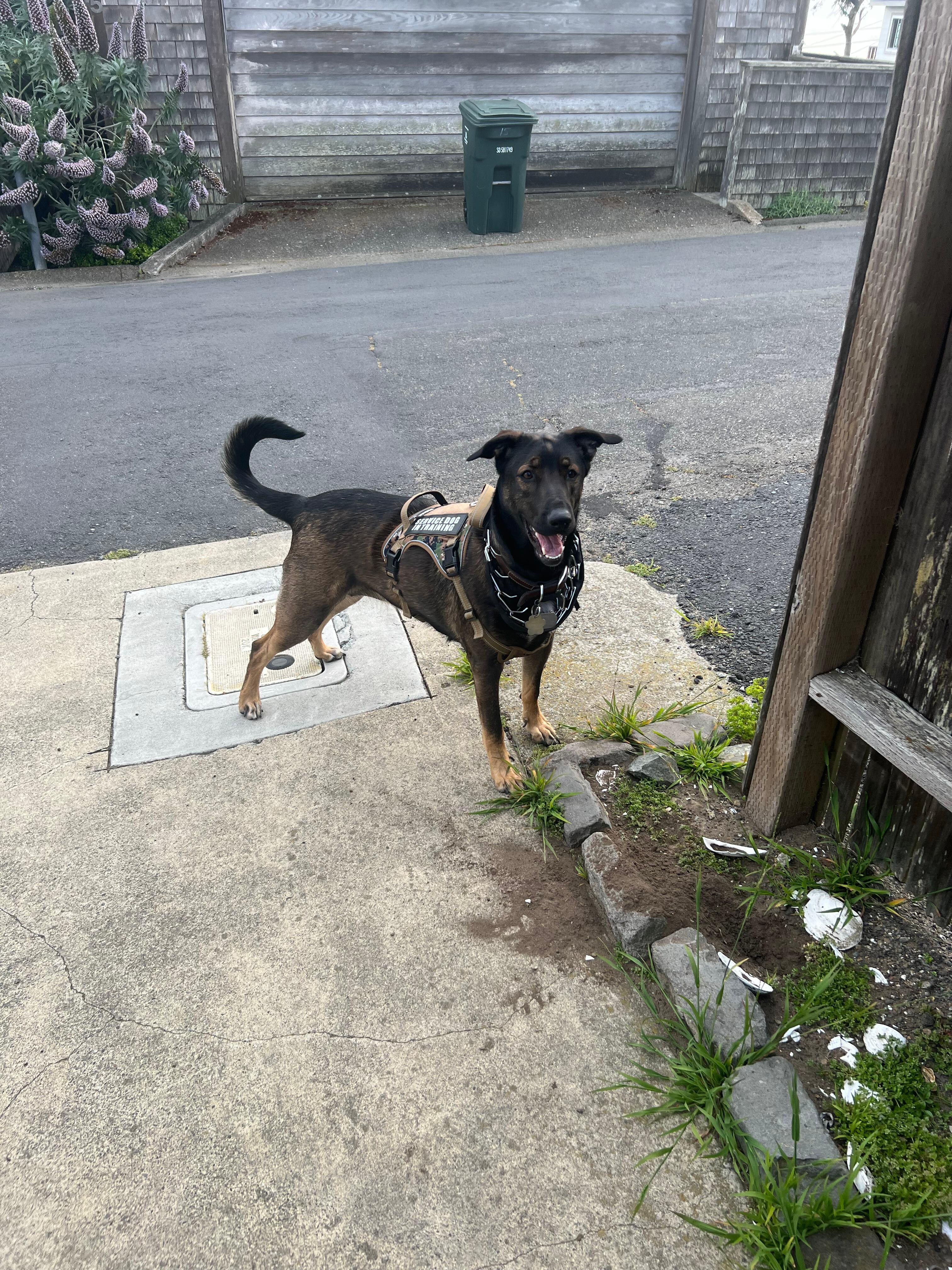Kona. 