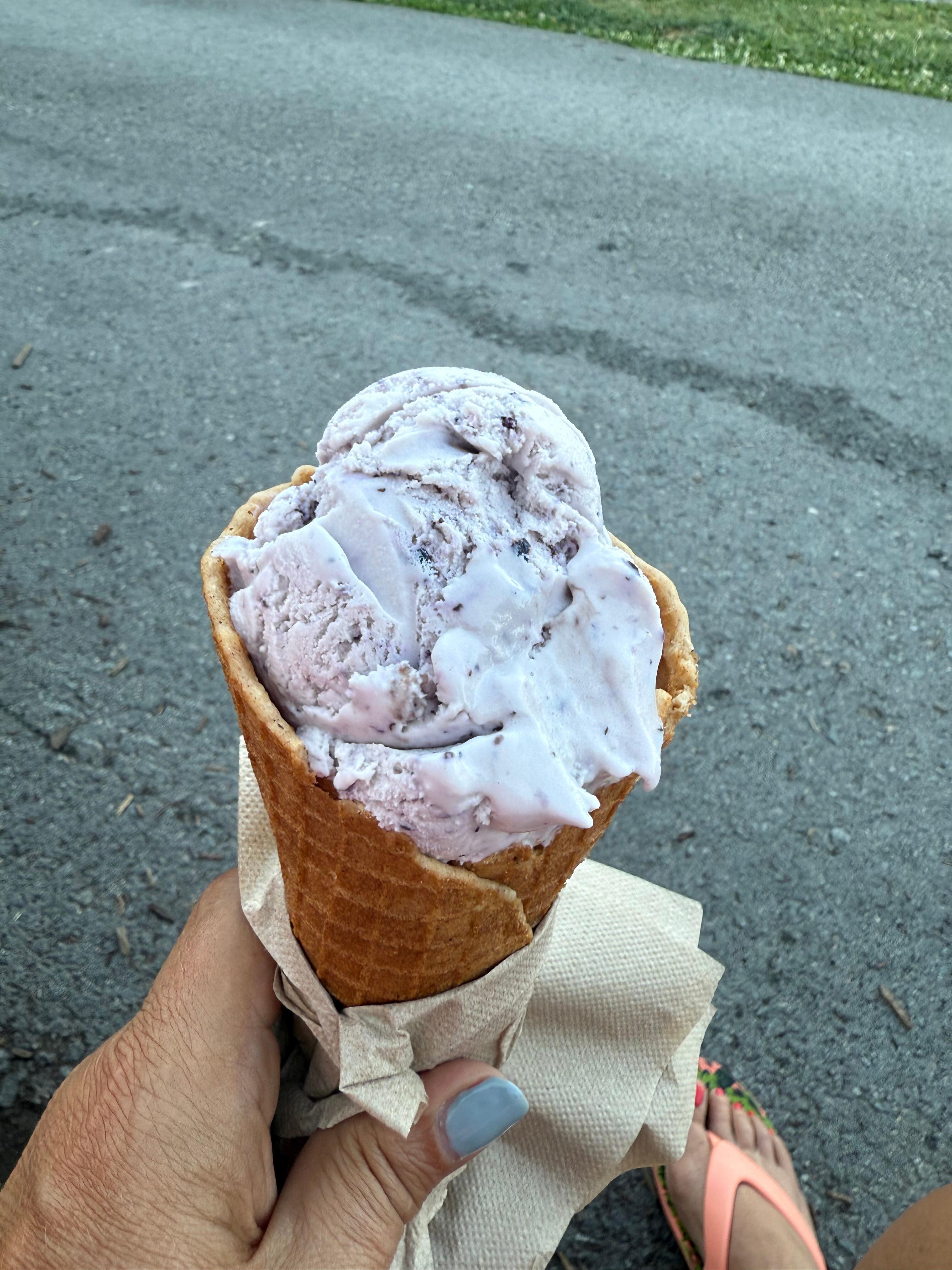 Huckleberry ice cream for the win 🤩