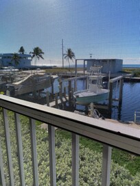 View from screened porch