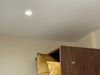 A fly rested on the wall