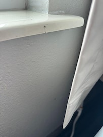 Dead bugs everywhere