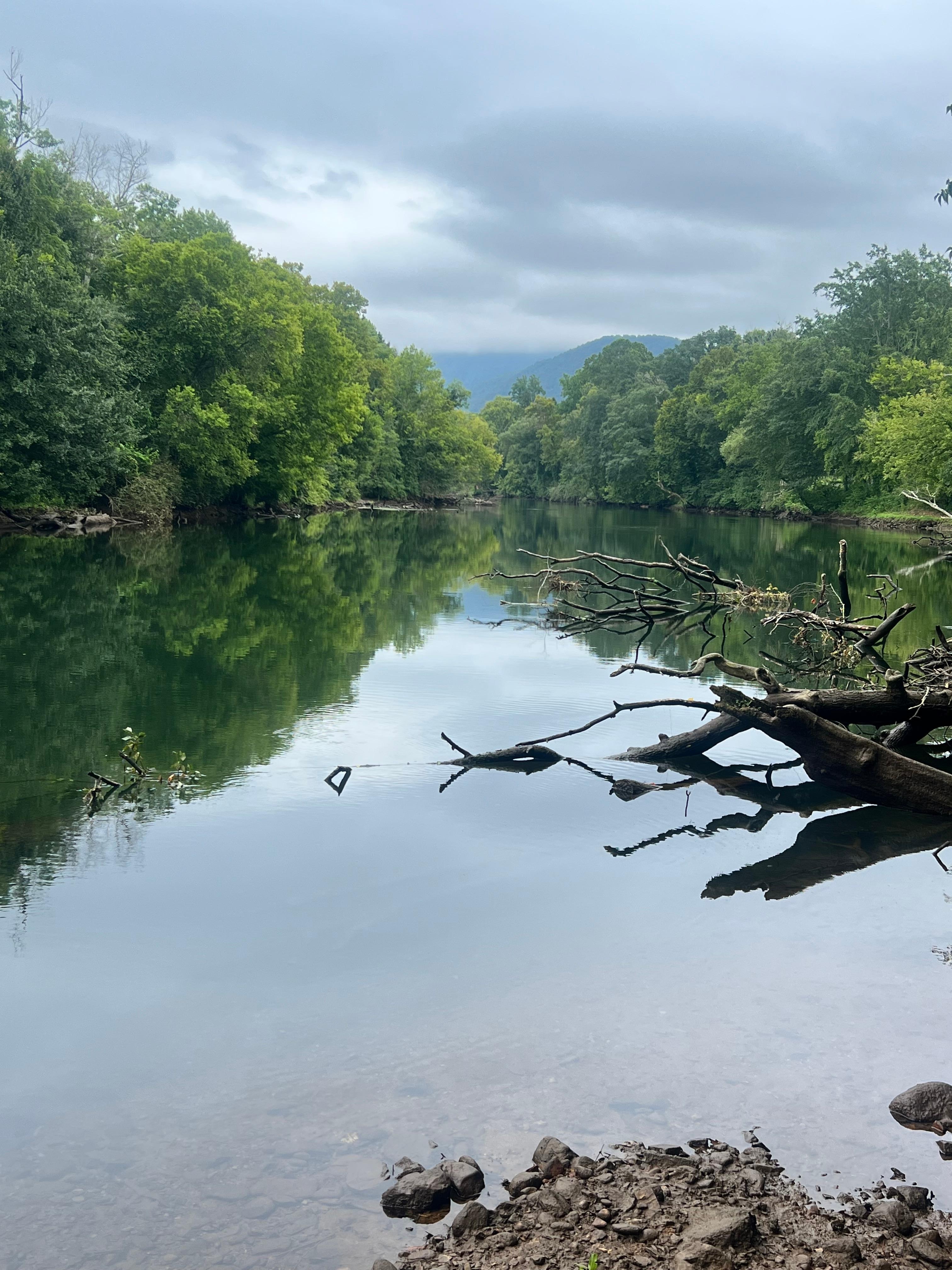 Picture from the dock. 