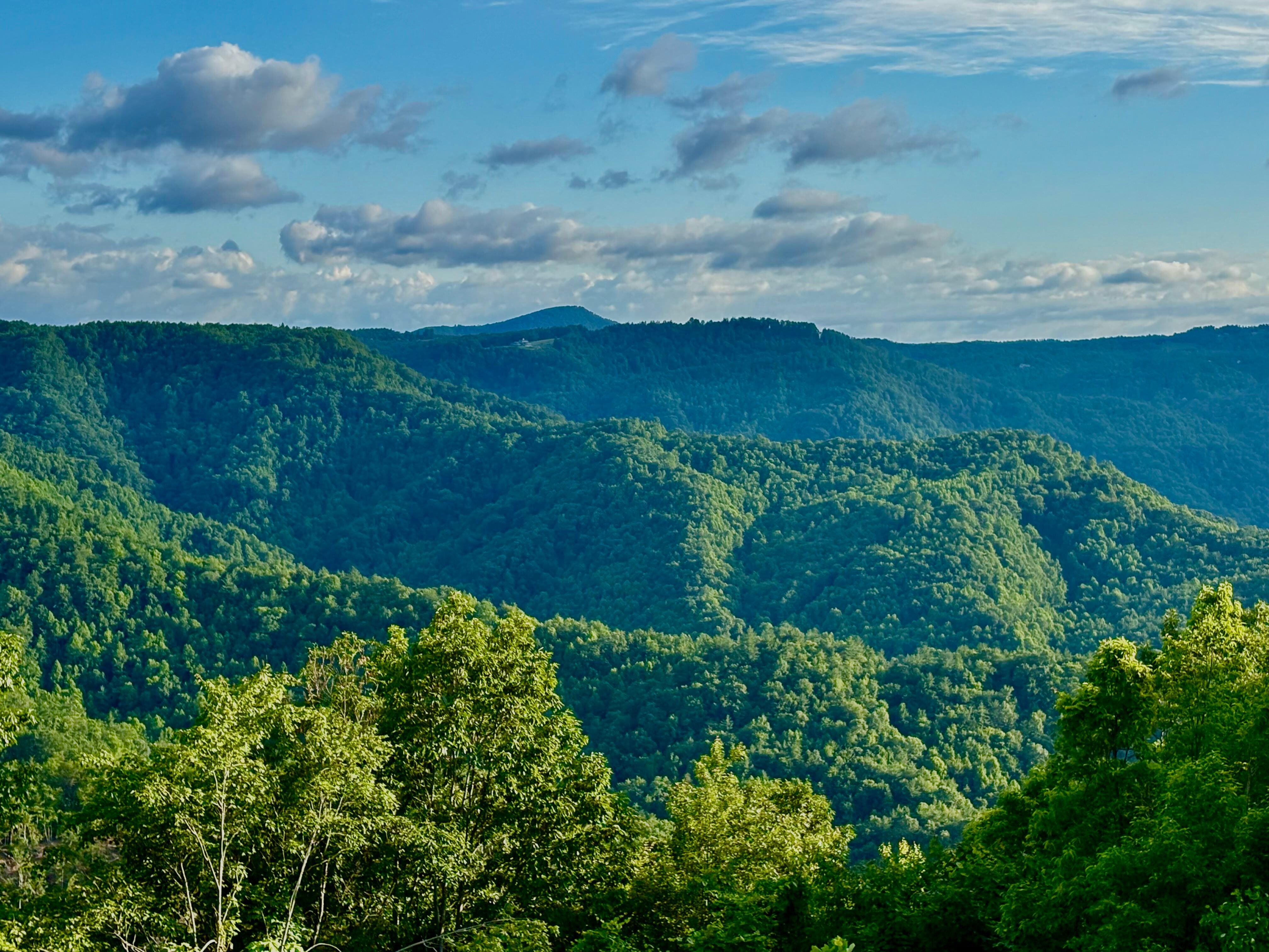 View from back deck of the property after  sunrise.