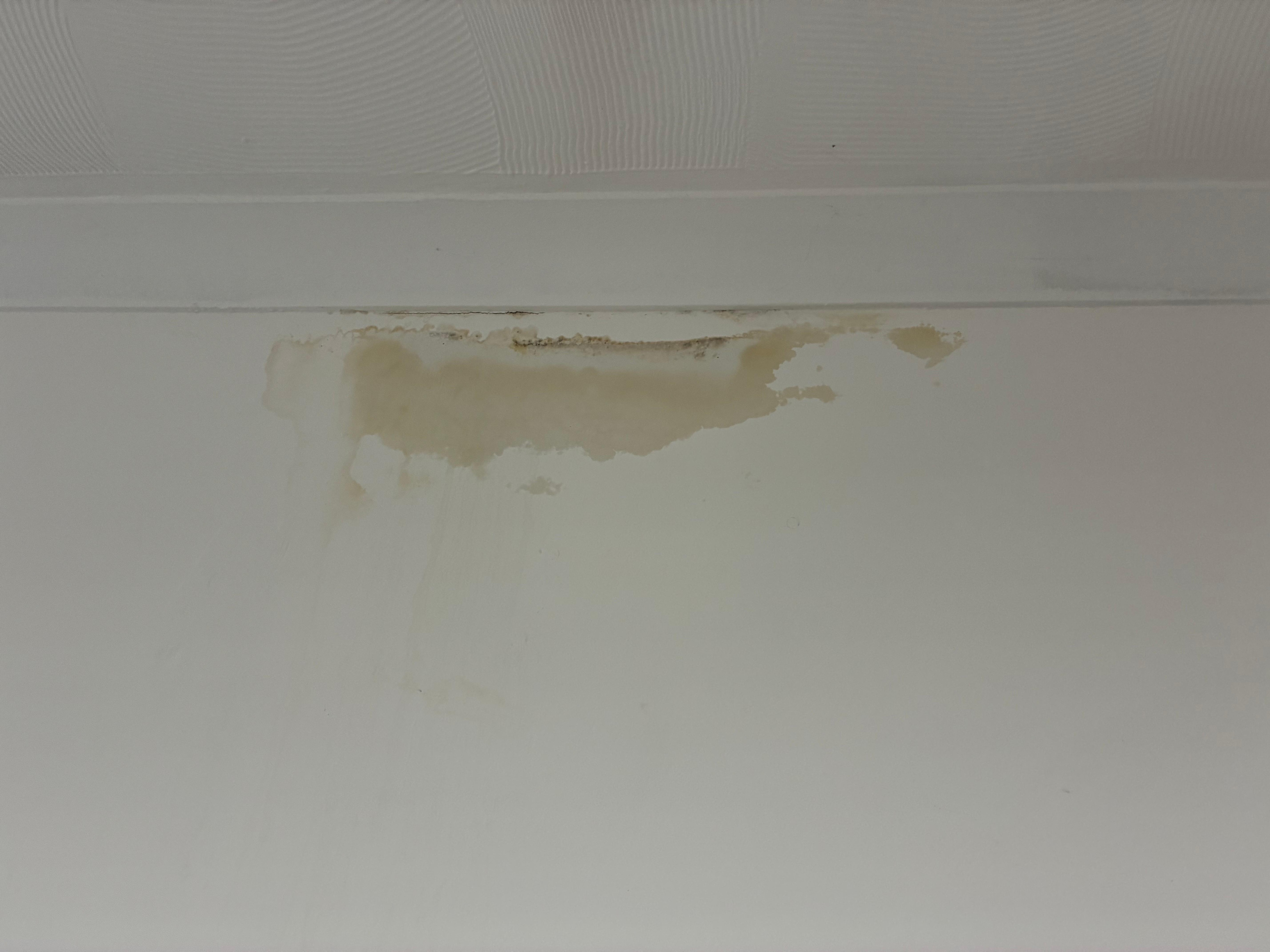 Damp in bedroom
