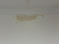 Damp in bedroom