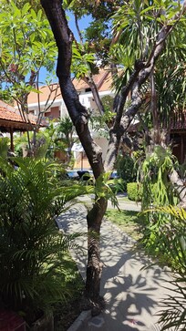 Ausblick von unserer Terrasse