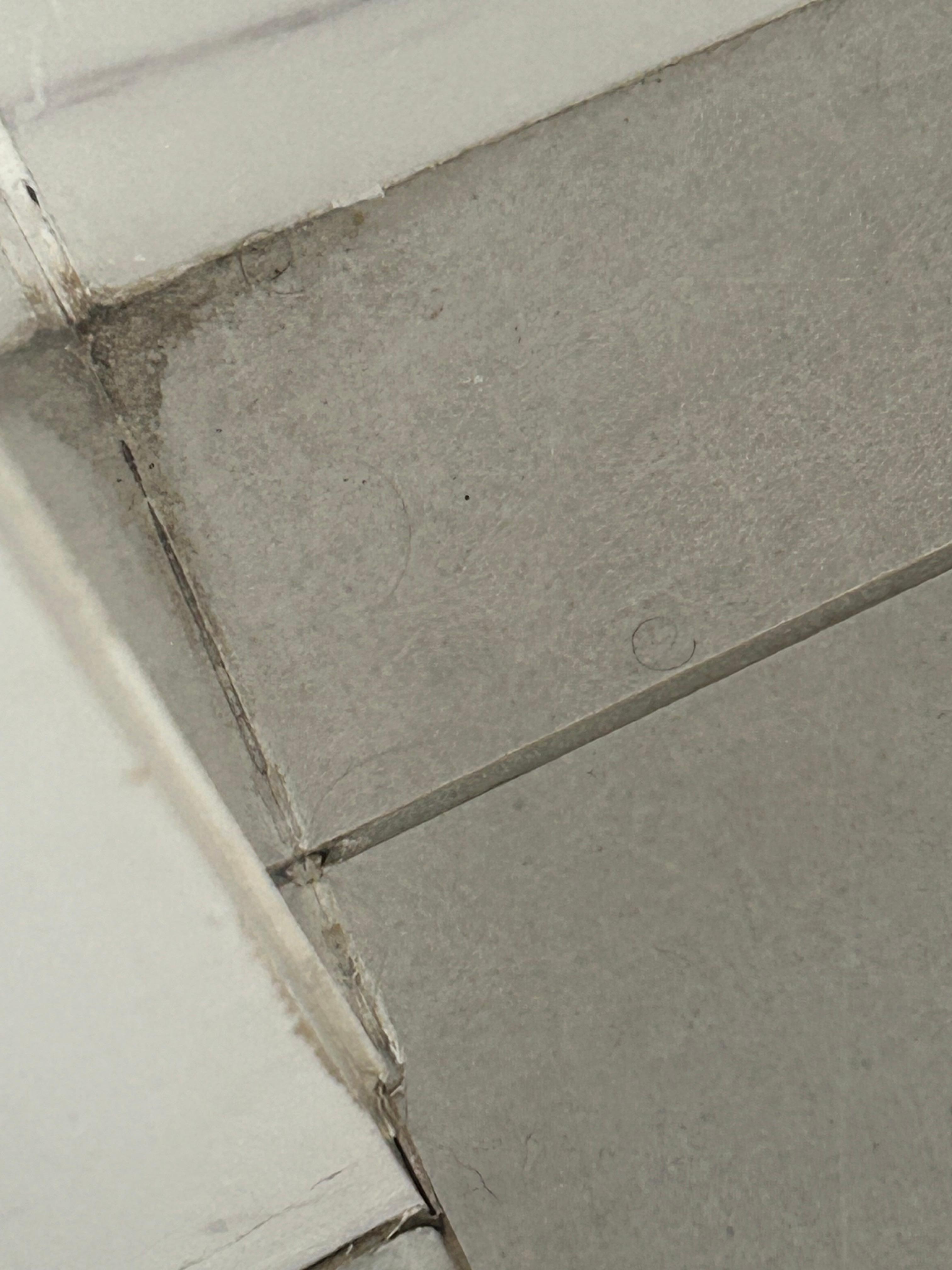 Bathroom floor has old urine 