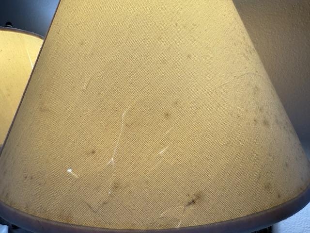 Mold on bedside light