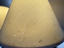Mold on bedside light