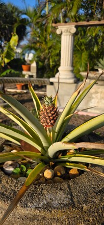 Outside the house nicely landscaped
