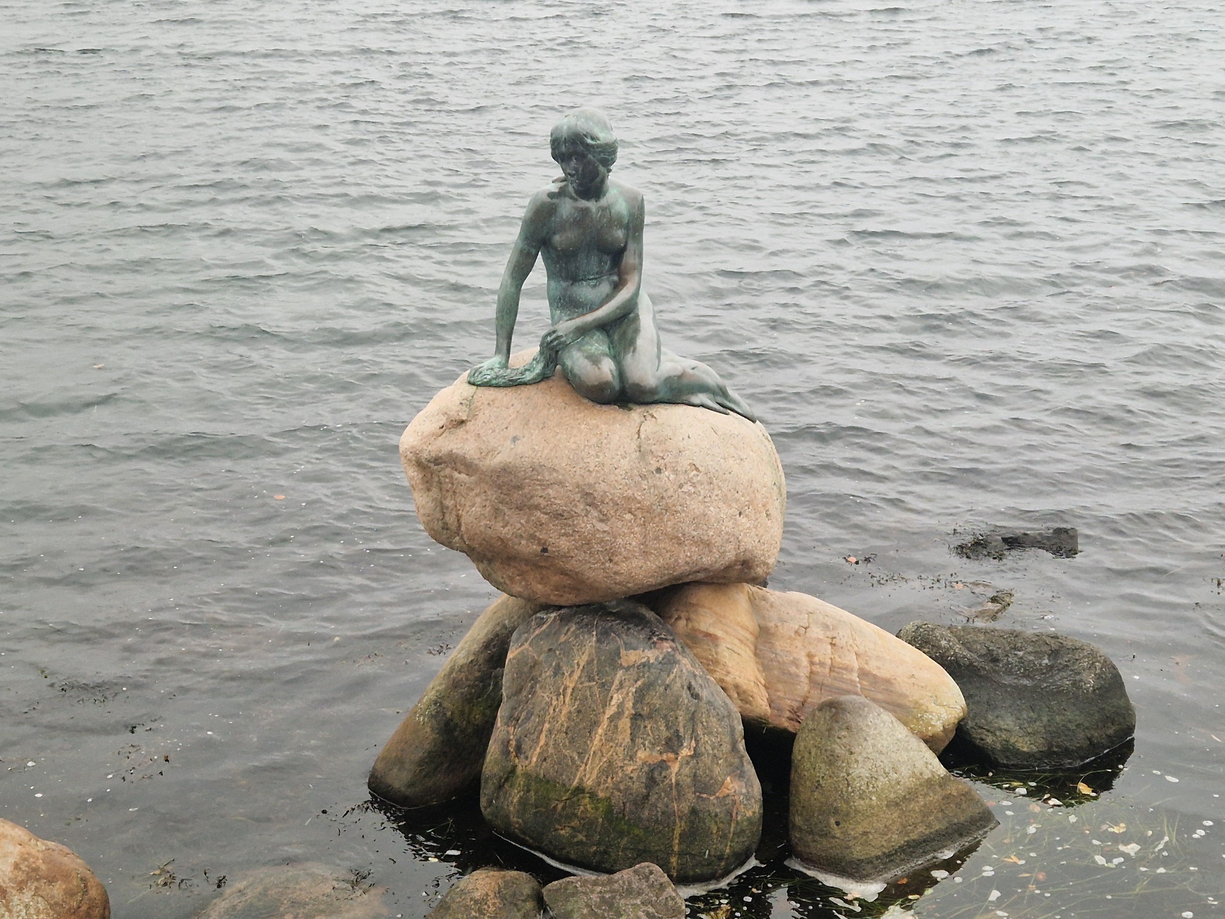 Still looking for her Merman