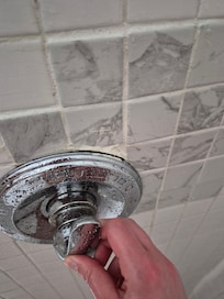 The shower poorly maintained