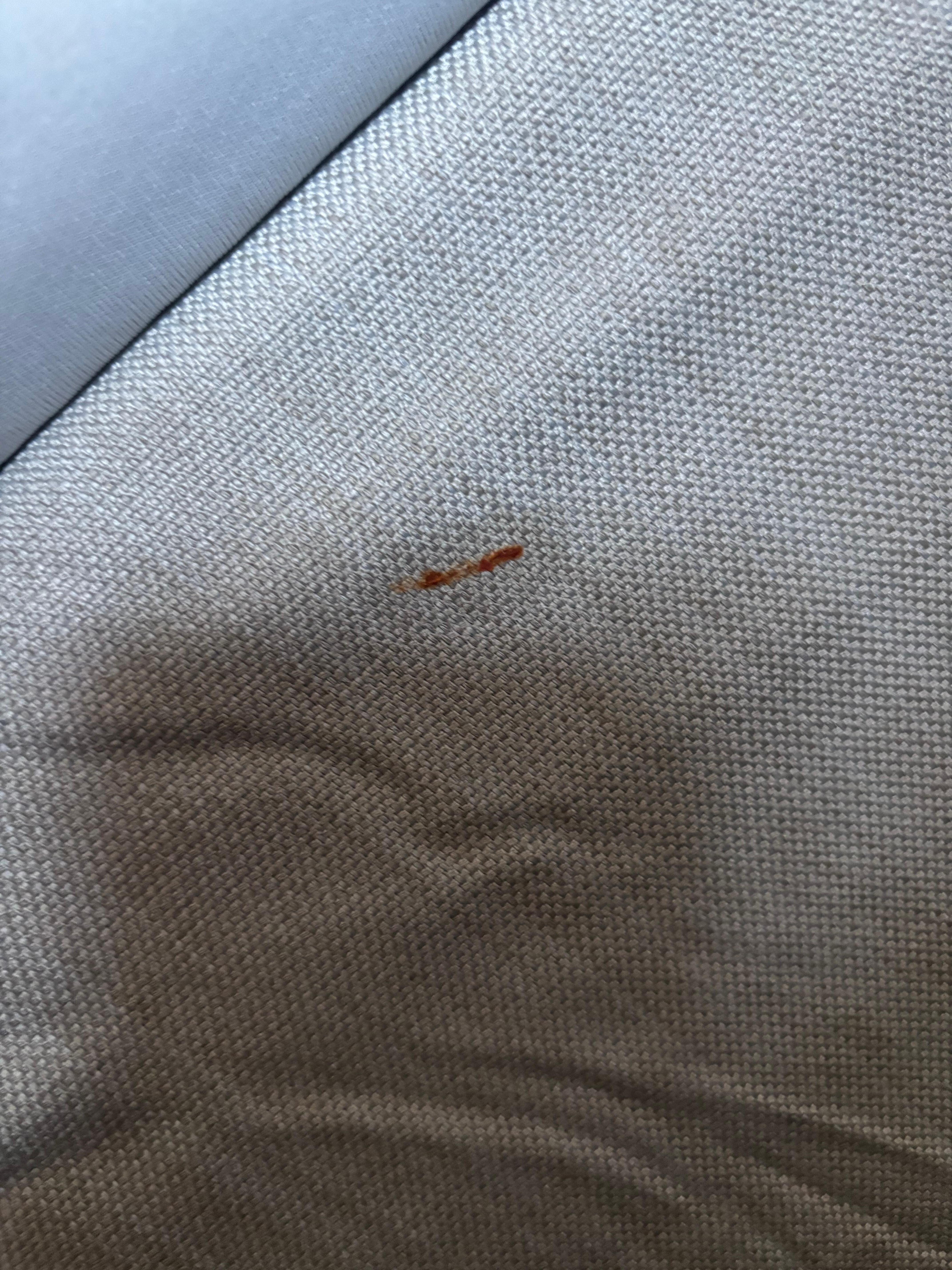 Blood on bed skirt