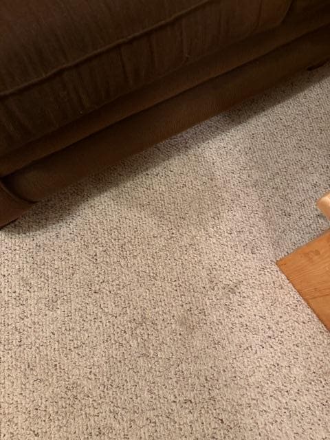 carpet stains