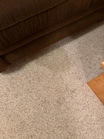 carpet stains