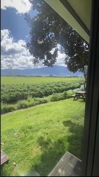 Image 3:
Great view out to the mountains!!