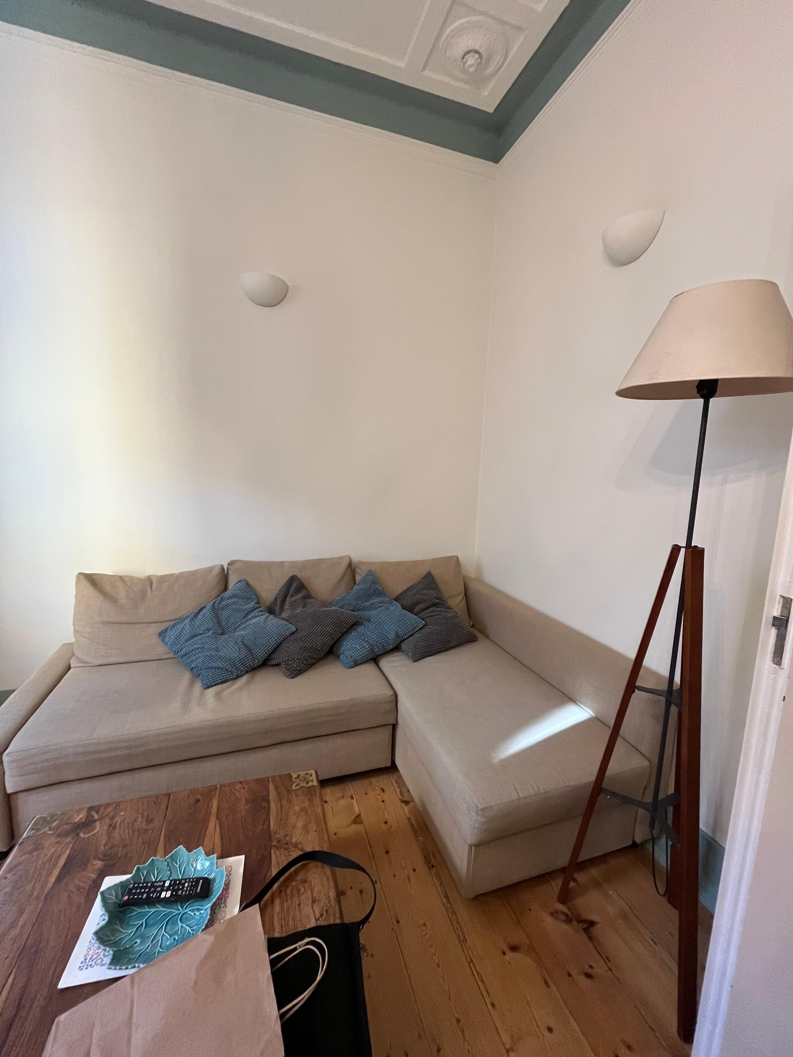 Living room with sofa bed and TV