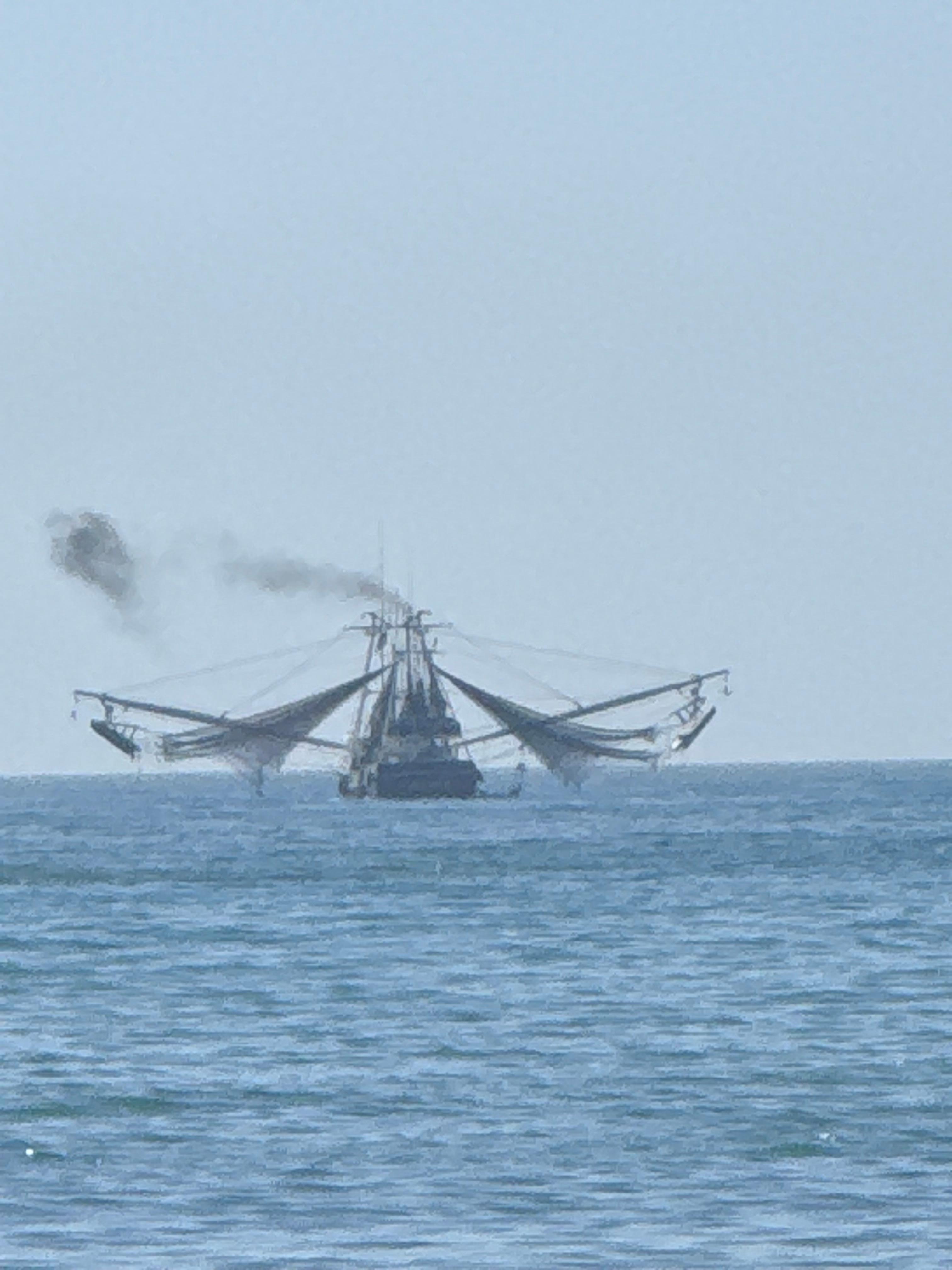 A view from the pool!