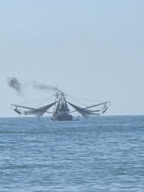 A view from the pool!