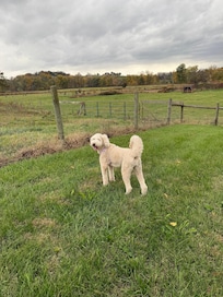 In backyard enjoying the views