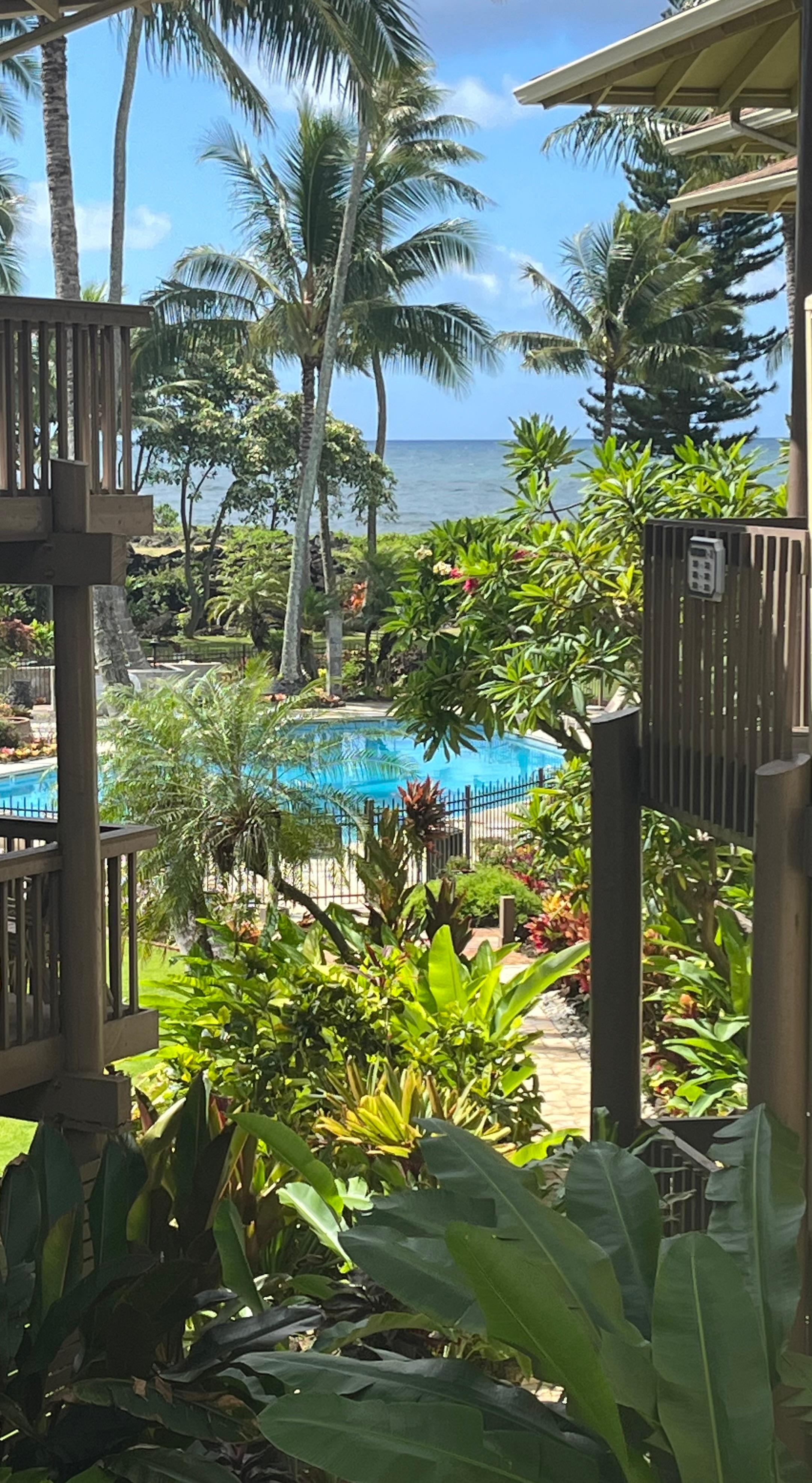 Pool view from the entrance to the condo.